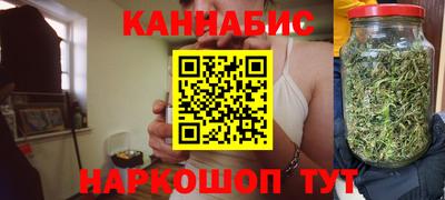 крисы Будённовск