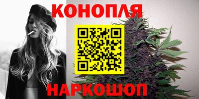 крисы Будённовск