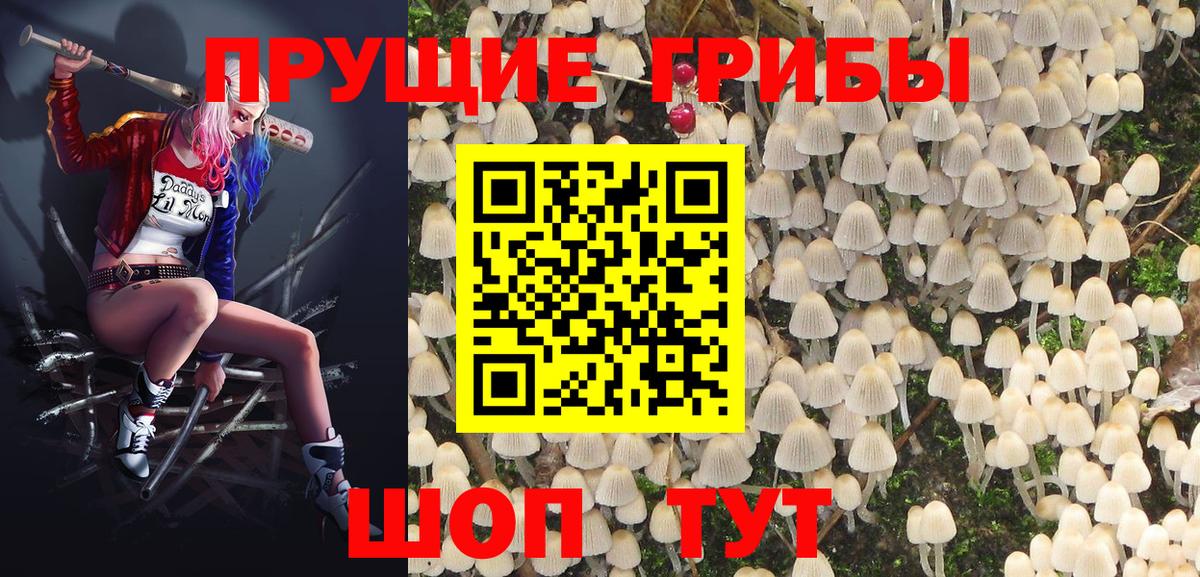 Галлюциногенные грибы прущие грибы  наркота  Чехов  Вход с VPN 